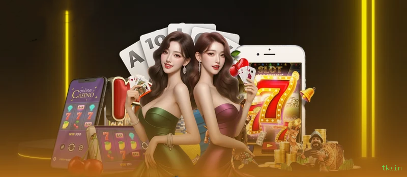 Programa VIP tkwin